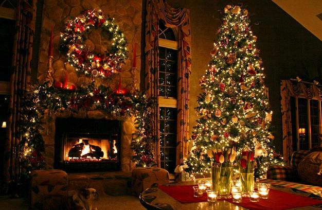 6 Ways to Buy Affordable Christmas Trees