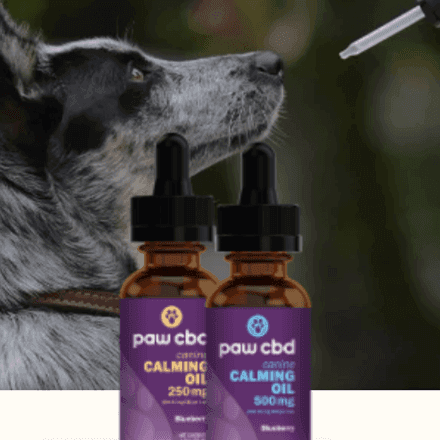 30% Off Paw CBD 
  Promo Code and Coupons
   + 8% Cash Back 
  | February 2023