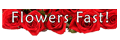 FlowersFast.com + coupons